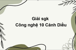 Giải SGK Công nghệ 10 (Cánh diều) Bài 19: Vai trò, ý nghĩa và các nguyên tắc của hoạt động thiết kế kĩ thuật