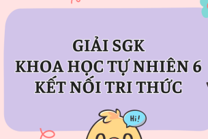 Giải SGK Khoa học tự nhiên 6 Bài 44 (Kết nối tri thức): Lực ma sát