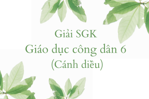 Giải SGK Giáo dục công dân 6 Bài 8 (Cánh diều): Ứng phó với các tình huống nguy hiểm từ thiên nhiên