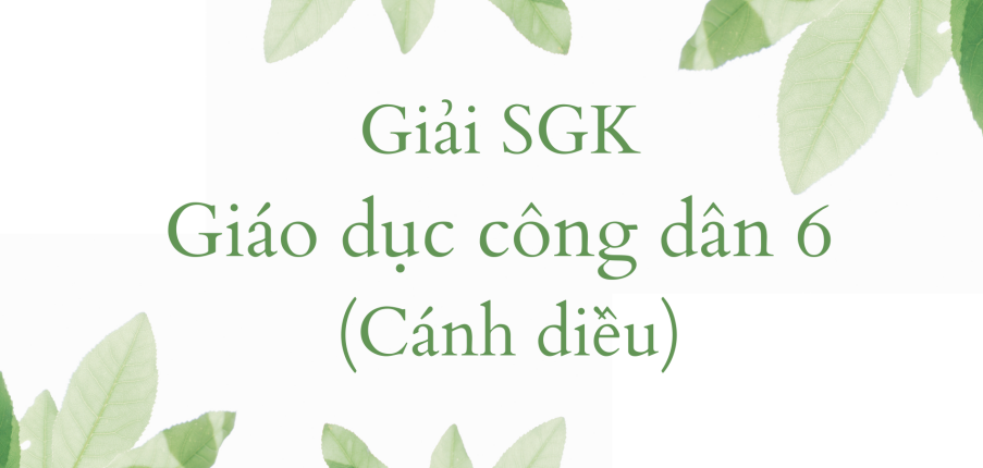 Giải SGK Giáo dục công dân 6 Bài 12 (Cánh diều): Quyền trẻ em