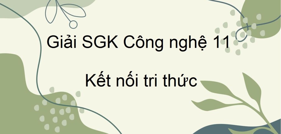 Giải SGK Công nghệ 11 (Kết nối tri thức) Bài 14: Một số bệnh phổ biến ở trâu, bò và biện pháp phòng, trị