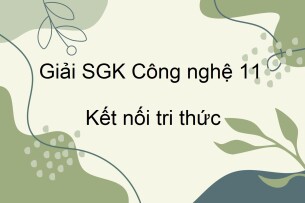 Giải SGK Công nghệ 11 (Kết nối tri thức) Bài 19: Chăn nuôi công nghệ cao