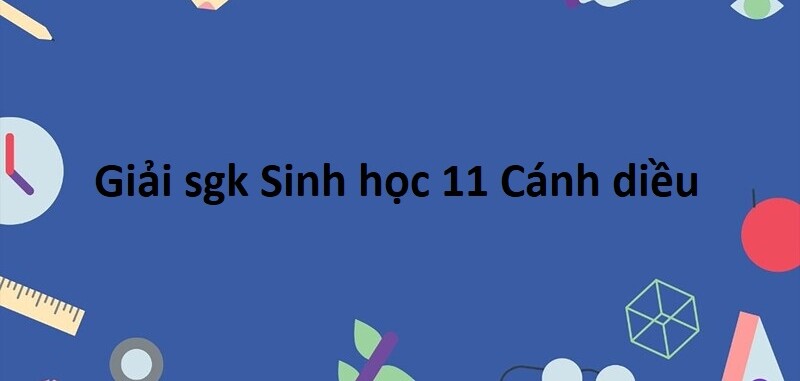 Giải SGK Sinh học 11 (Cánh diều) Bài 1: Khái quát về trao đổi chất và chuyển hóa năng lượng