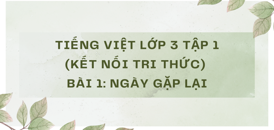 Giải Tiếng Việt lớp 3 Bài 1: Ngày gặp lại | Kết nối tri thức
