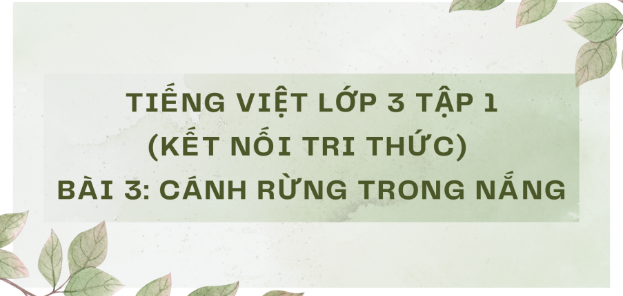 Giải Tiếng Việt lớp 3 Bài 3: Cánh rừng trong nắng | Kết nối tri thức