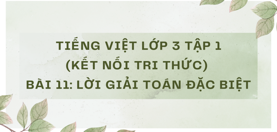 Giải Tiếng Việt lớp 3 Bài 11: Lời giải toán đặc biệt | Kết nối tri thức