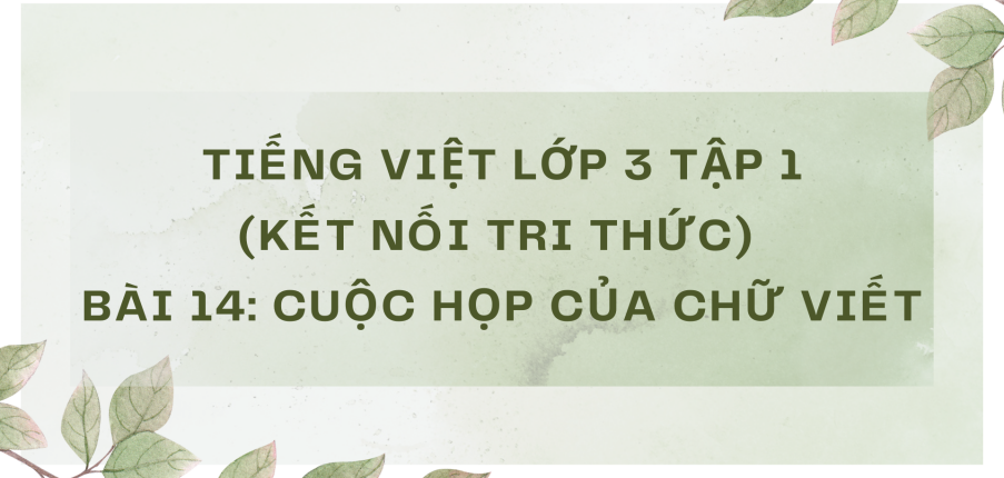 Giải Tiếng Việt lớp 3 Bài 14: Cuộc họp của chữ viết | Kết nối tri thức
