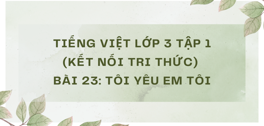 Giải Tiếng Việt lớp 3 Bài 23: Tôi yêu em tôi | Kết nối tri thức