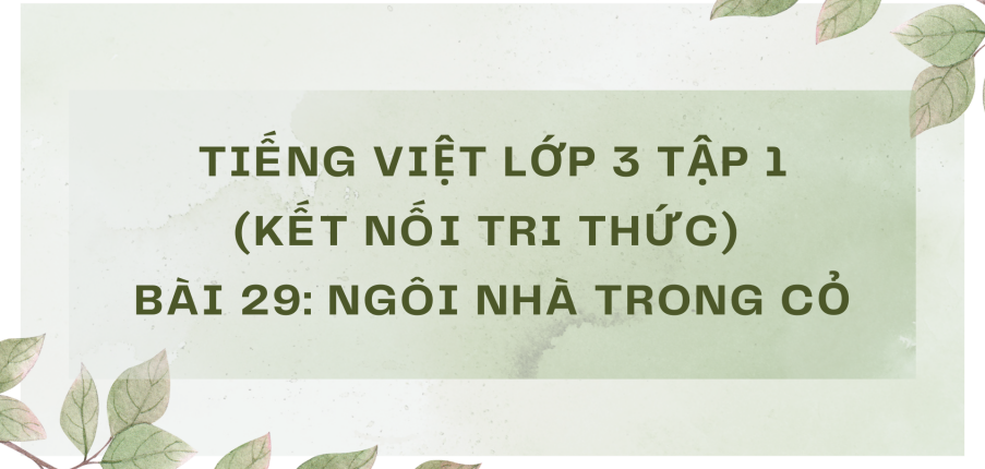 Giải Tiếng Việt lớp 3 Bài 29: Ngôi nhà trong cỏ | Kết nối tri thức