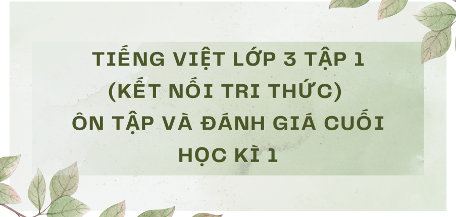 Giải Tiếng Việt lớp 3 Ôn tập và đánh giá cuối học kì 1 | Kết nối tri thức
