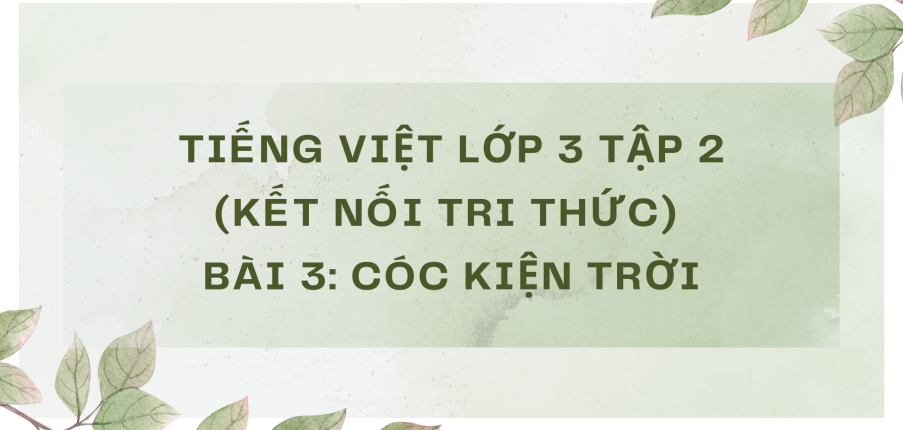 Giải Tiếng Việt lớp 3 Bài 3: Cóc kiện Trời | Kết nối tri thức