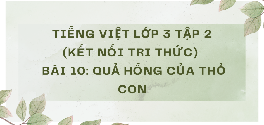 Giải Tiếng Việt lớp 3 Bài 10: Quả hồng của thỏ con | Kết nối tri thức