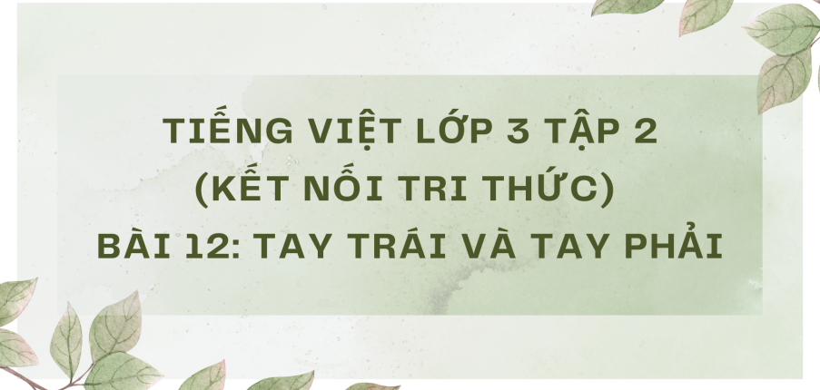 Giải Tiếng Việt lớp 3 Bài 12: Tay trái và tay phải | Kết nối tri thức