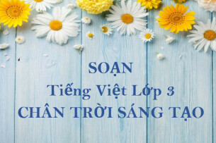 Giải Tiếng Việt lớp 3 Bài 3: Một mái nhà chung | Chân trời sáng tạo