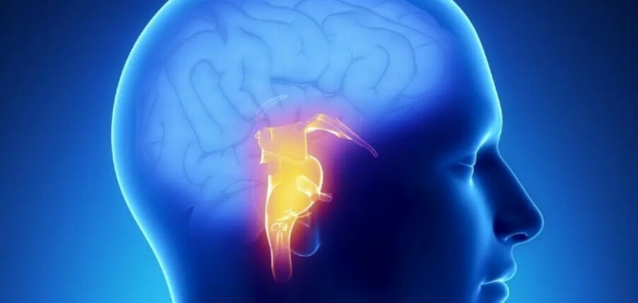9 điều cần biết về đột quỵ thân não: nhận biết, điều trị và phòng ngừa
