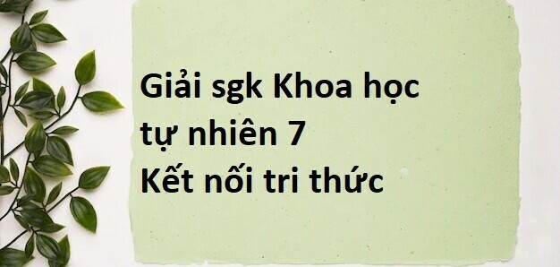 Giải SGK Khoa học tự nhiên 7 Bài 19 (Kết nối tri thức): Từ trường