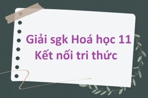 Giải SGK Hóa 11 (Kết nối tri thức) Bài 19: Dẫn xuất halogen