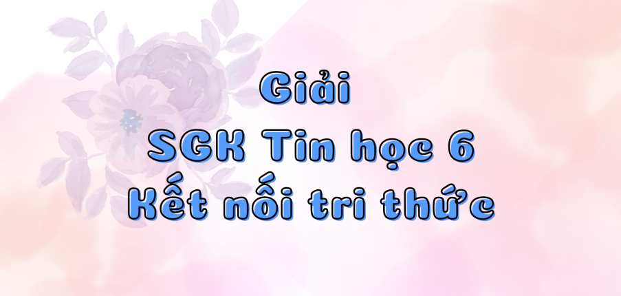 Giải SGK Tin học lớp 6 Bài 5 (Kết nối tri thức): Internet