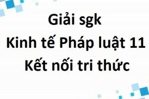 Giải SGK Kinh tế Pháp luật 11 (Kết nối tri thức) Bài 17: Quyền bất khả xâm phạm về thân thể và quyền được pháp luật bảo hộ về tính mạng, sức khỏe, danh dự, nhân phẩm của công dân