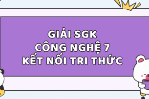 Giải SGK Công nghệ 7 Bài 3 (Kết nối tri thức): Gieo trồng, chăm sóc và phòng trừ sâu, bệnh cho cây trồng