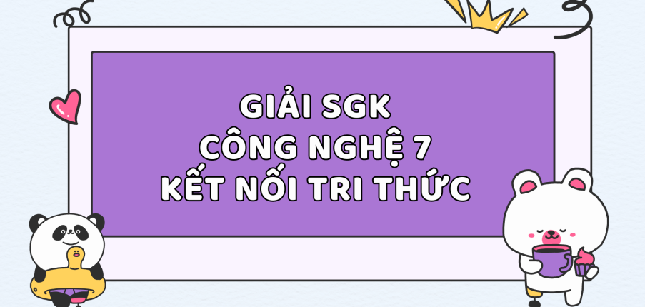 Giải SGK Công nghệ 7 Bài 6 (Kết nối tri thức): Dự án trồng rau an toàn 