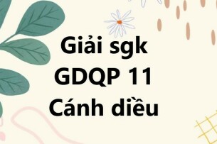 Giải SGK Giáo dục Quốc phòng 11 (Cánh diều) Bài 6: Giới thiệu một số loại súng bộ binh, thuốc nổ, vật cản và vũ khí tự tạo | Giải GDQP 11 Giáo dục Quốc phòng 11