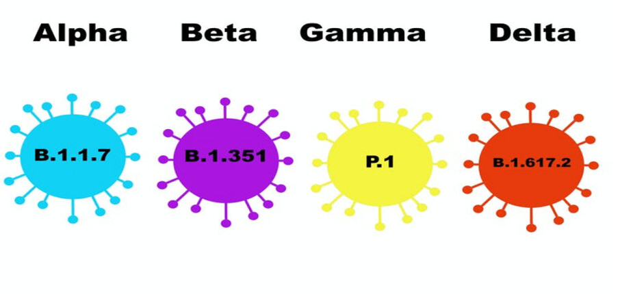 Các biến thể của coronavirus và vắc xin