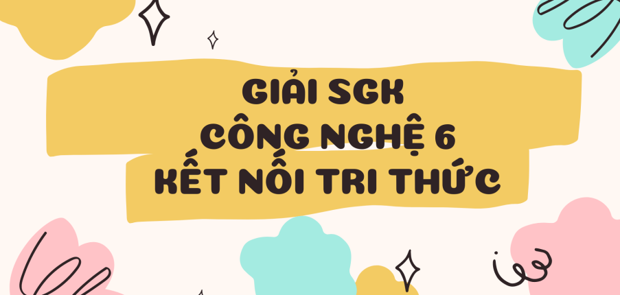 Giải SGK Công nghệ 6 Bài 4 (Kết nối tri thức): Thực phẩm và dinh dưỡng