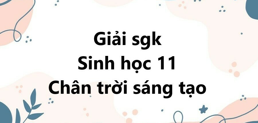 Giải SGK Sinh học 11 (Chân trời sáng tạo) Bài 3: Thực hành: Thí nghiệm trao đổi nước ở thực vật và trông cây bằng thủy canh, khí canh