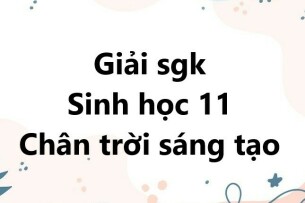 Giải SGK Sinh học 11 (Chân trời sáng tạo) Bài 25: Thực hành: Nhân giống vô tính và thụ phấn ở thực vật