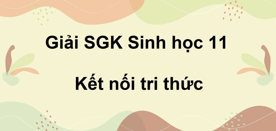 Giải SGK Sinh học 11 (Kết nối tri thức) Bài 14: Khái quát về cảm ứng ở sinh vật