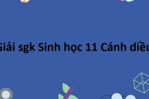 Giải SGK Sinh học 11 (Cánh diều) Bài 20: Khái quát về sinh sản ở sinh vật