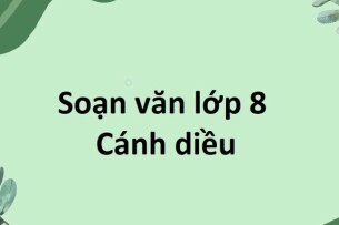 Soạn bài Đọc hiểu văn bản lớp 8 trang 132, 133 Tập 1 | Cánh diều