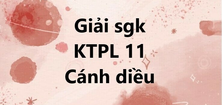 Giải SGK Kinh tế Pháp luật 11 (Cánh diều) Bài 7: Ý tưởng, cơ hội kinh doanh và các năng lực cần thiết của người kinh doanh