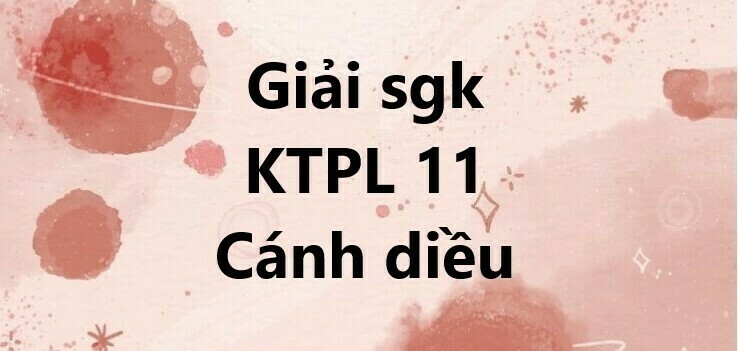 Giải SGK Kinh tế Pháp luật 11 (Cánh diều) Bài 14: Quyền và nghĩa vụ công dân về bầu cử và ứng cử