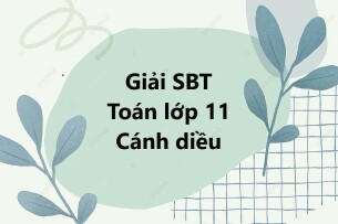 Giải SBT Toán 11 Cánh diều | Sách bài tập Toán 11 Cánh diều Tập 1, Tập 2