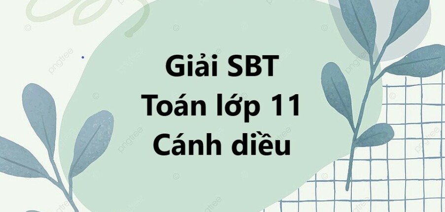 Giải SBT Toán 11 Cánh diều | Sách bài tập Toán 11 Cánh diều Tập 1, Tập 2