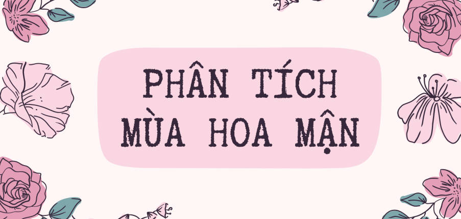 TOP 10 bài phân tích Mùa hoa mận 2024 ĐẶC SẮC NHẤT