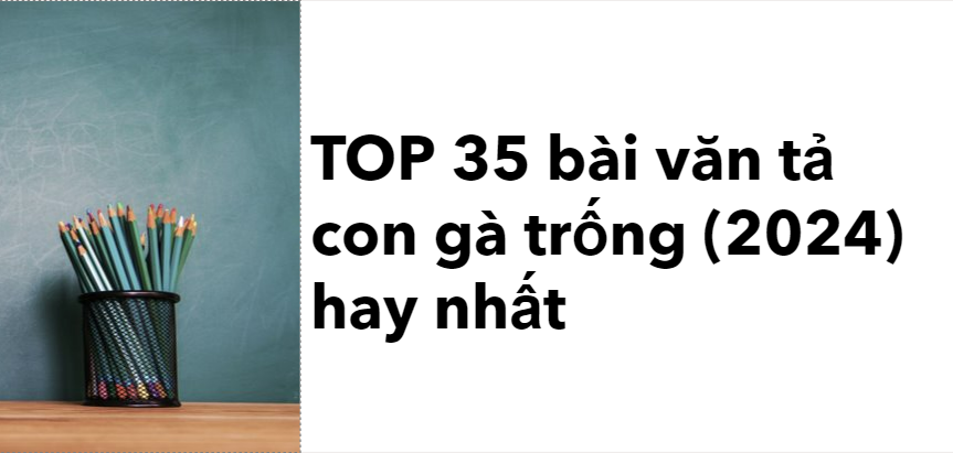 TOP 35 bài văn tả con gà trống (2024) hay nhất