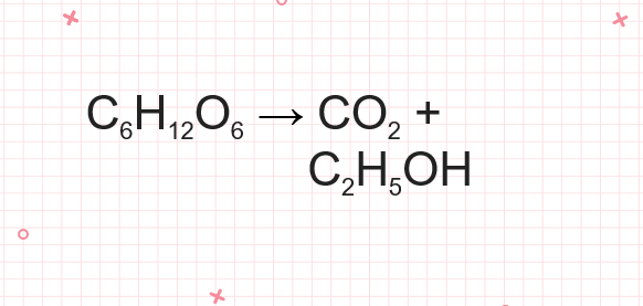 C6H12O6 → CO2 + C2H5OH | C6H12O6 ra C2H5OH (lên men rượu)