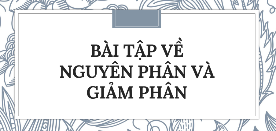 30 bài tập về nguyên phân và giảm phân (2024) có đáp án chi tiết nhất