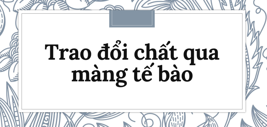 30 bài tập về Trao đổi chất qua màng tế bào (2024) có lời giải chi tiết nhất