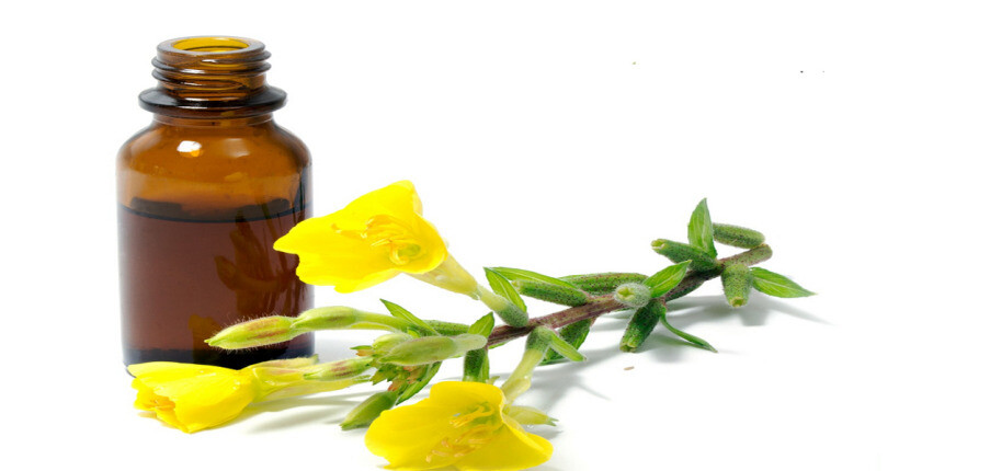 6 công dụng của dầu hoa anh thảo và tính an toàn khi sử dụng