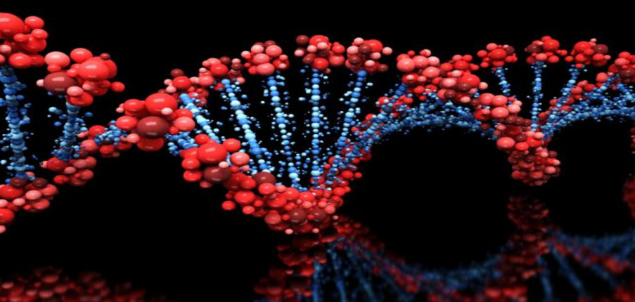 Kiến thức cơ bản về gen và rối loạn di truyền