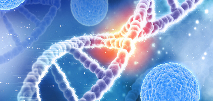 Gen và bệnh ung thư: mối liên quan, chẩn đoán và điều trị