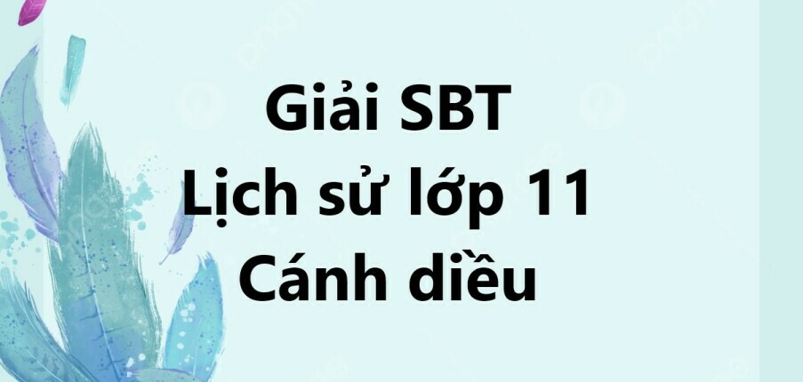 Giải SBT Lịch sử 11 (Cánh diều) Bài 13: Việt Nam và biển Đông