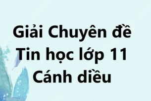 Giải Chuyên đề Tin học 11 Bài 2 (Cánh diều): Kĩ thuật quay lui