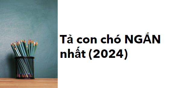 TOP 10 bài văn tả con chó NGẮN nhất (2024)