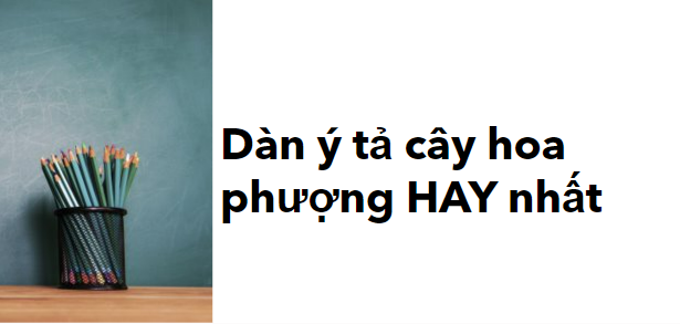 TOP 20 dàn ý tả cây hoa phượng HAY nhất (2024)