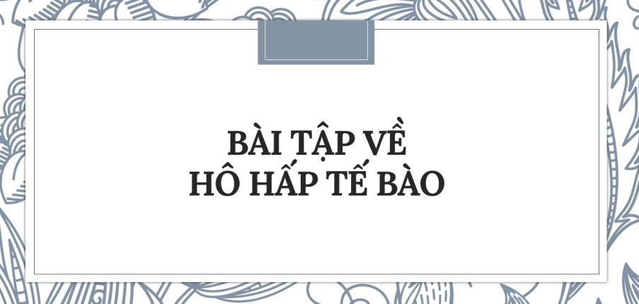 30 bài tập về Hô hấp tế bào (2024) có đáp án chi tiết nhất